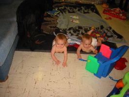 IMG_1960.JPG