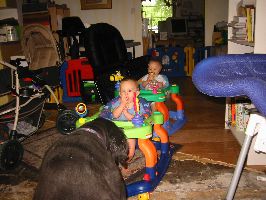 IMG_2204.JPG