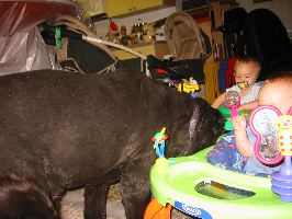 IMG_2205.JPG