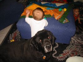 IMG_2206.JPG