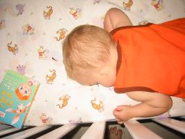 IMG_2212.JPG