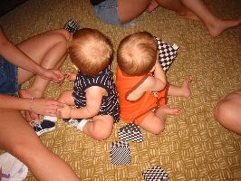 IMG_2233.JPG