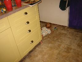 IMG_2252.JPG