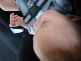 IMG_2256.JPG