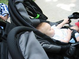 IMG_2279.JPG