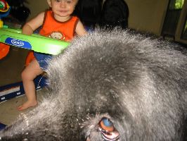 IMG_2283.JPG