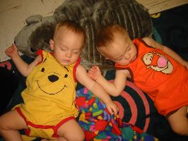 IMG_2295.JPG